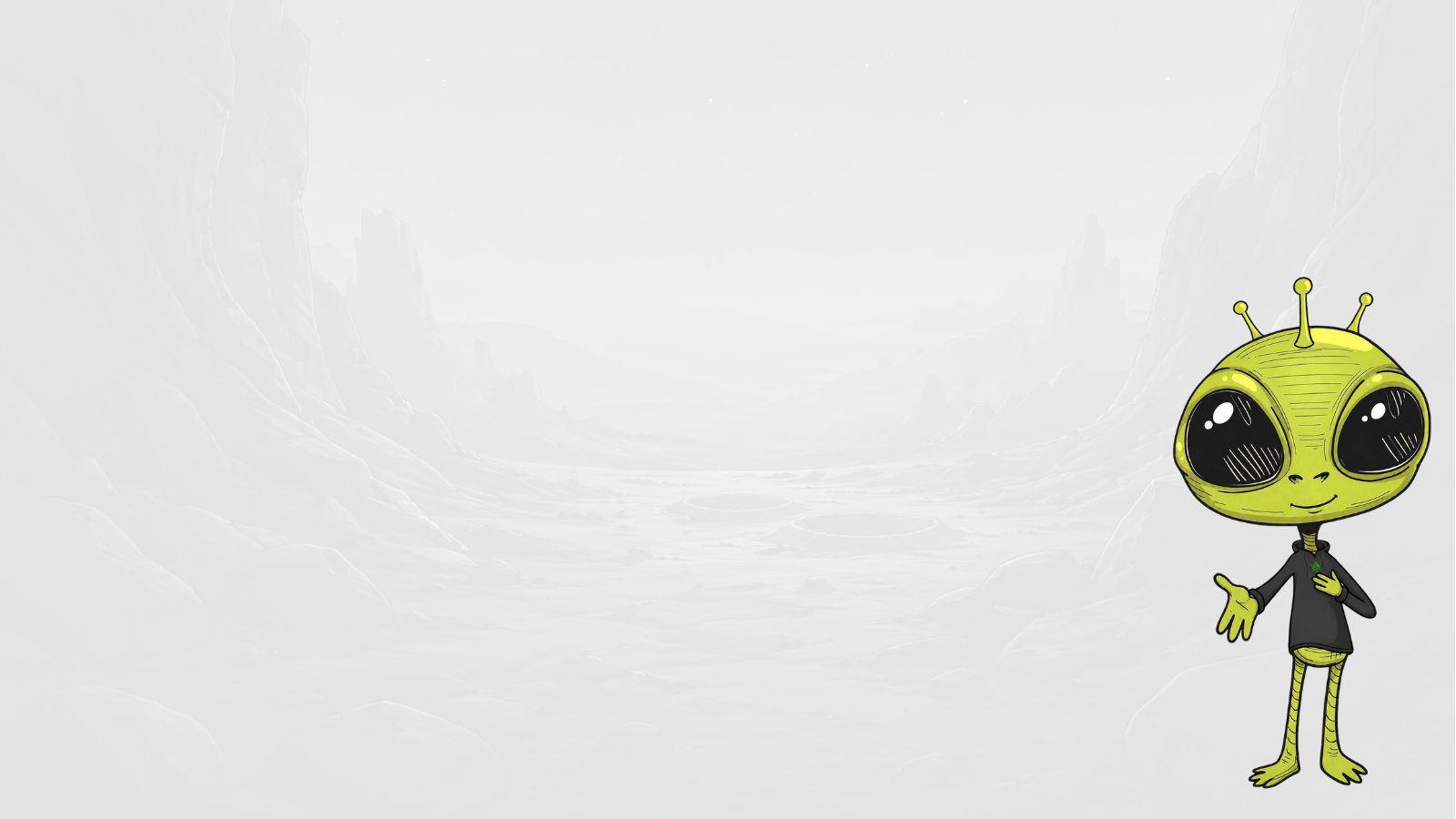 Terms and Conditions - ayedo