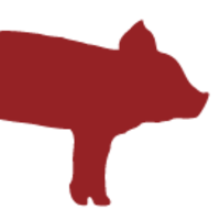MailHog Logo