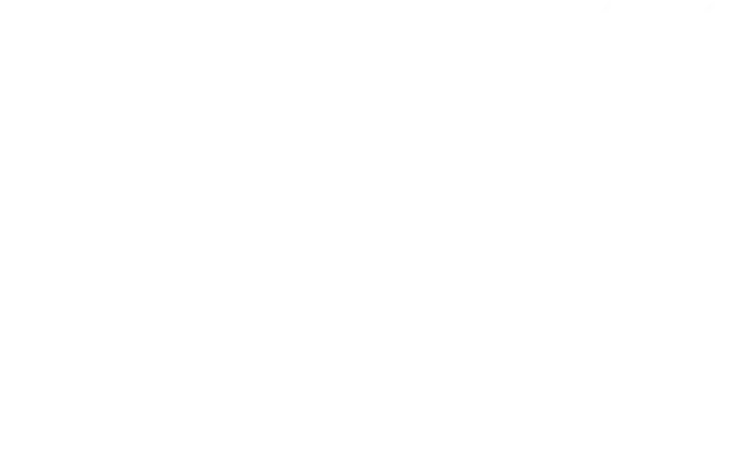 IEM