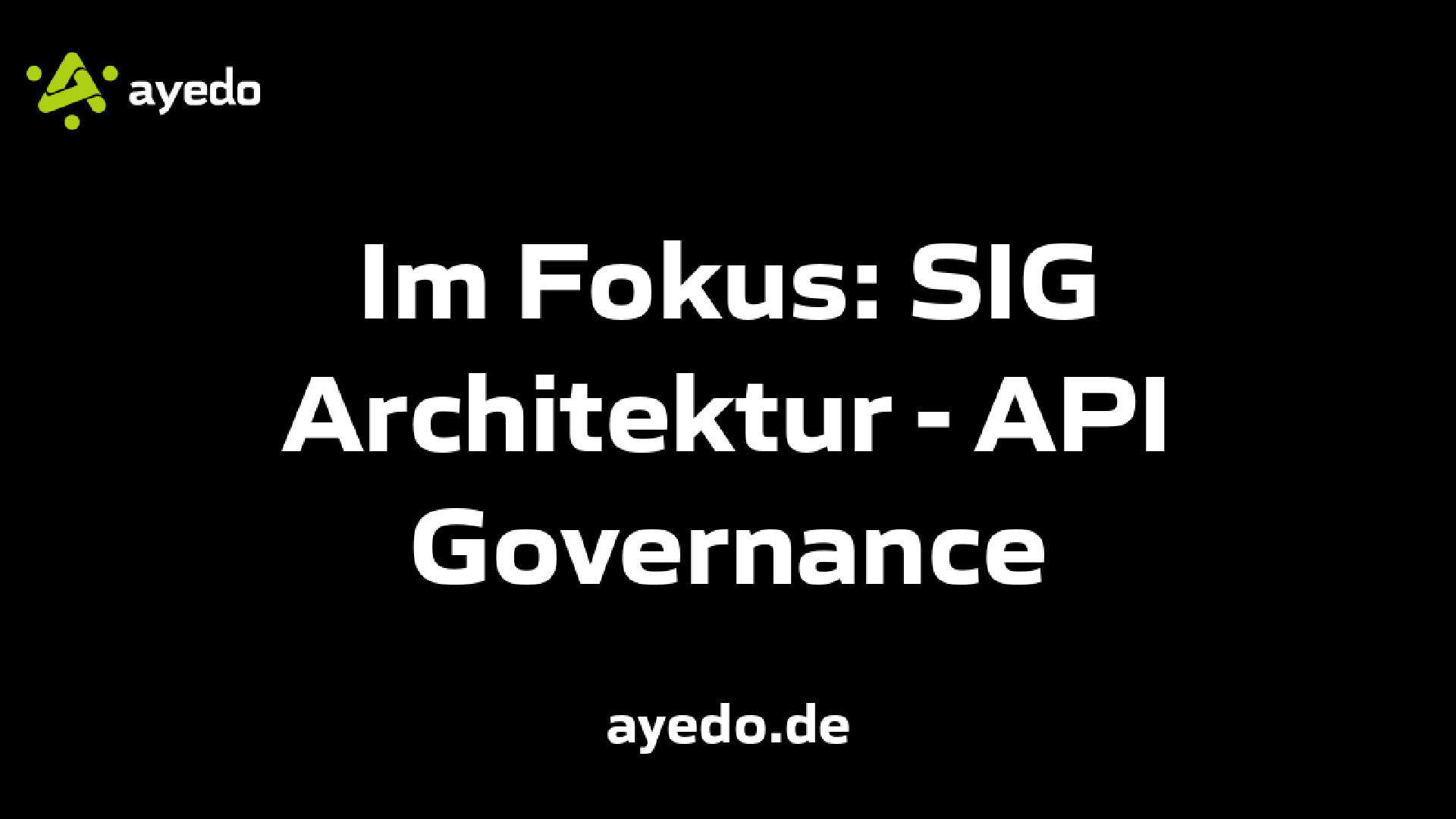 Im Fokus: SIG Architektur - API Governance