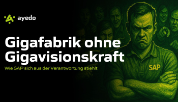 Gigafabrik ohne Gigavisionskraft?