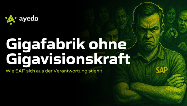 Gigafabrik ohne Gigavisionskraft?