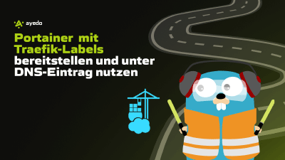 Portainer mit Traefik-Labels bereitstellen und unter DNS-Eintrag nutzen